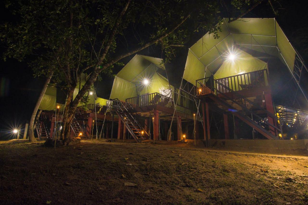 360 Rainforest Deniyaya Luaran gambar