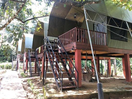 360 Rainforest Deniyaya Luaran gambar